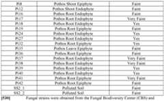 Figure imgf000296_0001