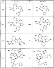 Figure BPA00001446920500971