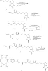 Figure US06217869-20010417-C00004