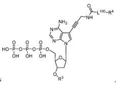 Figure imgf000118_0004