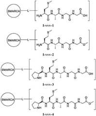 Figure BDA0003783300830001551