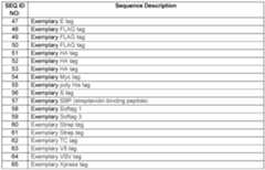 Figure imgf000012_0001