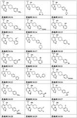 Figure FDA0003289571880000081