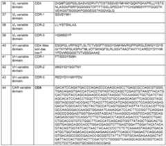 Figure imgf000054_0001