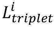 Figure BDA0002959482490000252