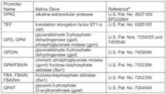 Figure imgf000084_0001