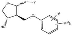 Figure imgf000024_0002
