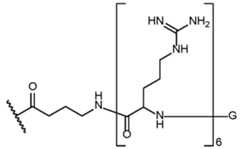 Figure imgf000033_0003