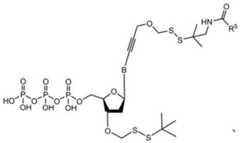 Figure BDA0003670511740003292