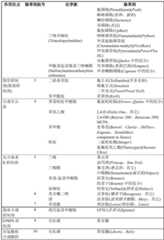 Figure GDA0002992446570001291