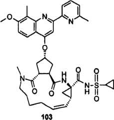 Figure BSA00000676350900961