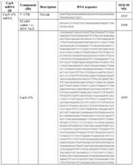 Figure imgf000144_0001