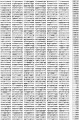 Figure IPA0000293710130000331