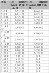 Figure BDA0001494797660003041