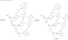 Figure US07727713-20100601-C00105