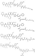 Figure FDF0000007358010000061