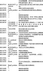 Figure BDA0000057170160001621