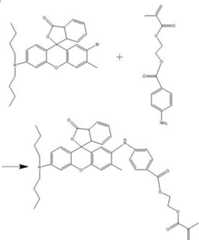 Figure 342663DEST_PATH_IMAGE002