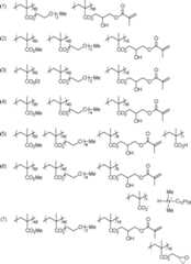 Figure JPOXMLDOC01-appb-C000013