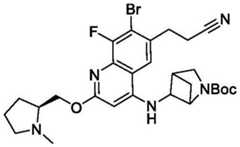 Figure BDA0003993773060002531