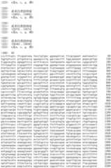 Figure IDA0002536600790000631