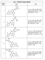 Figure G2007800513551D00981