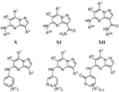 Figure imgf000048_0002