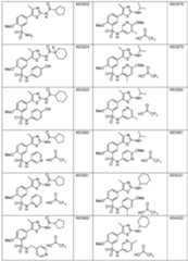 Figure imgf000032_0001