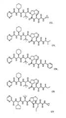 Figure G2009101493490D00571