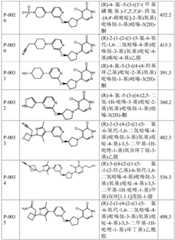 Figure BDA0004010263230001511