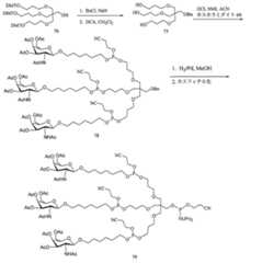 Figure 0007429103000268