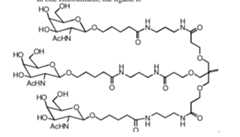 Figure imgf000007_0001