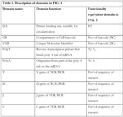 Figure imgf000007_0001