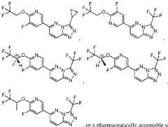 Figure imgf000037_0001