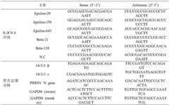 Figure BDA0001778077200000071