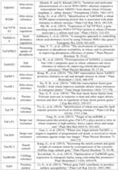 Figure PCTCN2022090268-appb-000100