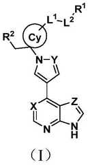 Figure FDA0002319666800000011