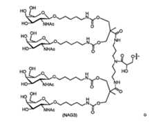 Figure 110121932-A0202-12-0018-110