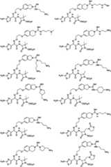 Figure GPA0000290633380000101