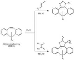 Figure imgf000028_0001