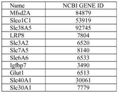 Figure imgf000011_0001