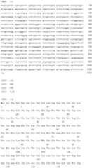 Figure IDA0000079231860000911