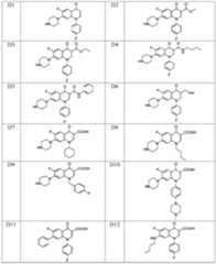 Figure PCTCN2018103974-appb-000013