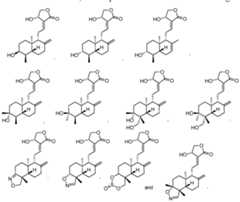 Figure imgf000026_0002