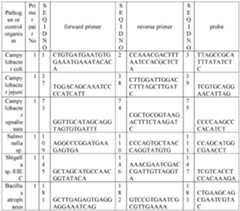 Figure imgf000017_0001