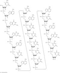 Figure US10669546-20200602-C00029
