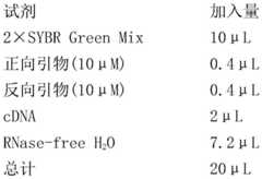 Figure BDA0002880316280000131