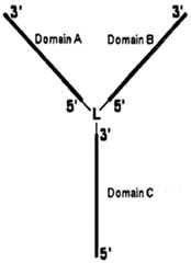 Figure imgf000068_0001