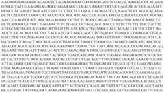 Figure PCTCN2022073808-appb-000118