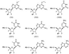 Figure imgf000026_0001